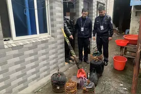 浙江男子播放“鸟语”诱捕画眉，非法狩猎反成“笼中鸟”图片