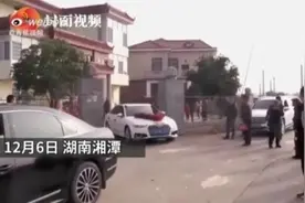 女主人出嫁，狗狗跟婚车狂奔10多公里送亲图片