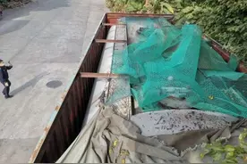 重型厢式货车“变身”山寨“油罐车”东莞望牛墩交警：扣它没商量图片