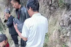 男子上山找羊遭熊袭击 30余人前去救援，轮流把他背下山图片