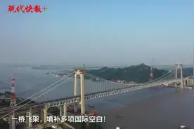 通了！世界首座跑高铁的悬索桥——五峰山长江大桥正式开通运营图片