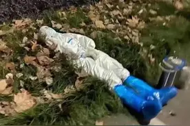 寒风落叶中，这一幕让人动容图片