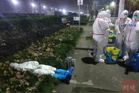 独家 | 对话“草地姐”拍摄者：看到他们辛苦的样子，情不自禁泪目图片
