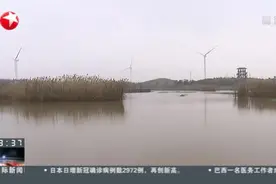 上海老港：市民建言献策  垃圾填埋场变生态环保基地视频封面