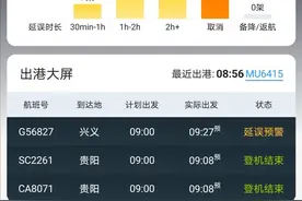 已取消超100个航班 济南机场航班大面积延误图片