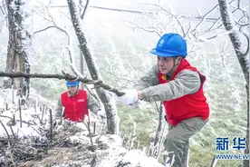 湖北利川：电力工人雪地巡线图片