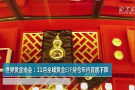 世界黄金协会：11月全球黄金ETF持仓年内首度下降视频封面