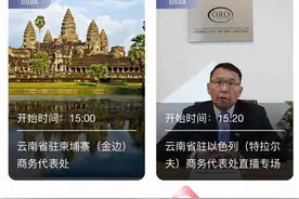 泰国、越南、柬埔寨、以色列投资环境怎么样？来“云上南博会”找答案图片