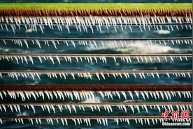 海水都结冰了！大连海边护栏挂满冰凌图片
