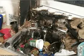 捡手榴弹误当“宝贝”带回家后爆炸 英国一对母女幸免于难图片