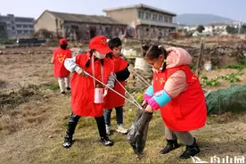 “周末公益”志愿服务丨保护环境 萌娃们从小做起来图片