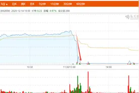 轰然跌停！散户上午买进下午开盘仅10分钟闪崩13%，1.7万股东目瞪口呆，发生了什么？图片