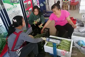 云南金平：“绿胖子”鼓起村民“钱袋子”图片