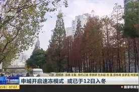 申城开启速冻模式  或已于12日入冬视频封面