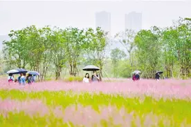 绿岛小夜曲，重庆这样演奏图片