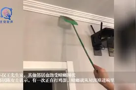 居民攒废品致全楼蟑螂成灾，邻里风波如何化解图片
