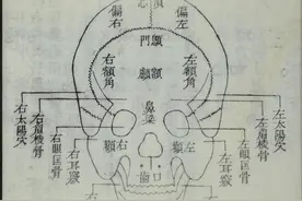 刘思睿︱仵作、法医与现代化背后的故事图片