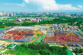 乘自贸港建设东风，海南全面促进中医药传承创新发展图片