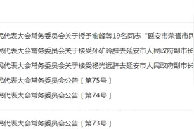 延安市政府领导班子调整：两副市长卸任，新任一位“75后”图片