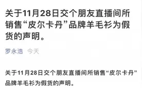 直播带货“翻车”，罗永浩道歉！还报案了……图片