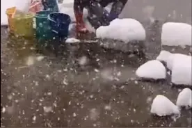 阿姨风雪天骑三轮到河边洗衣服 网友：一定是家里最操劳的那个人图片