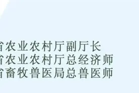权威发布丨 山东农民收入不断提高 2019年全省农村居民人均可支配收入达到17775元图片