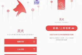 今日头条反低俗能力再升级 灵犬上线短视频识别功能图片