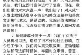 河南9岁孤女成最小“老赖”，金水区人民法院道歉，养母：只想保护孩子，让她过平静生活图片