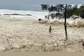 澳大利亚海岸出现咖啡色泡沫海浪 能把人整个淹没图片