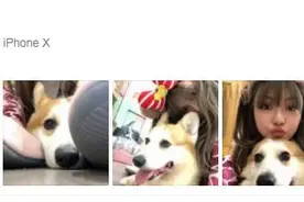 周扬青晒与狗狗合照 戴迪士尼发箍很可爱图片