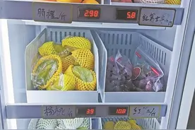 24小时营业的自动“卖菜机”来了 你会尝鲜吗？图片