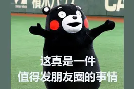 免费通行！长江五桥来了图片