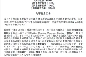 安博凯17.71亿港元入股神州租车，成为第二大股东图片