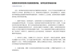 侨胞、留学生注意！中国驻西班牙使领馆再次发布重要提醒图片