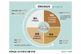 走私多，难溯源，无标准——燕窝疯狂（含视频）图片