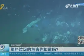 一个塑料袋降解需百年，塑料垃圾的危害有多大？看完视频触目惊心视频封面