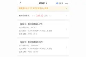 斑马网约车关联企业成被执行人图片