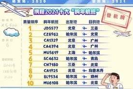“跨年游”去哪儿？上海人最爱去哈尔滨赏雪，北京人最爱去三亚过冬图片