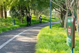 上海一游客在迪士尼租赁自行车摔伤后索赔3.8万元 法院终审判决公园不担责图片