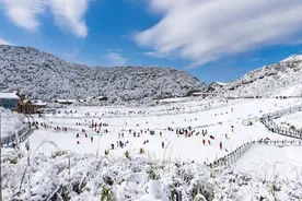 想去金佛山赏雪滑雪？这份冬游攻略请收好图片