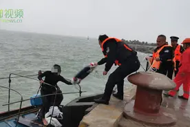 椰视频 | 男子在琼海冲浪掉进海里 海上漂流5个多小时后获救图片