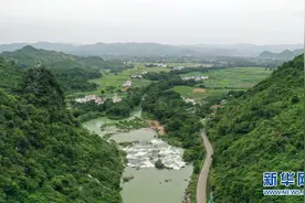 广西鹿寨：强产业 固脱贫 促振兴图片
