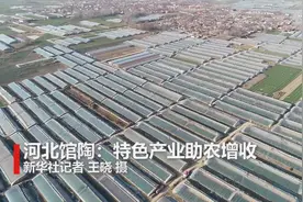 河北馆陶：特色产业助农增收视频封面