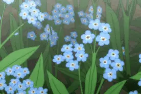 谁还买花盆啊，一根毛线就能种花，美到邻居都羡慕图片