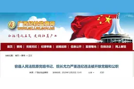 既想当官又想发财，违规生二孩，与他人有不正当性关系……广西一法院院长被双开图片