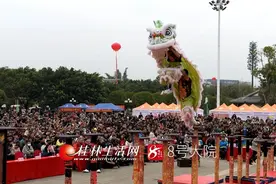 五市七县“狮王”争霸在荔浦开锣 比赛场面火爆异常图片