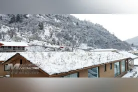 平武：一夜大雪纷纷飞 银装素裹如童话图片