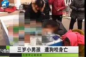 痛心！河南3岁男童被邻居看门狗咬死，孩子父亲回应：狗很凶，常年不拴图片