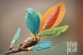 封面夜读｜人生，尊重别人的不同图片