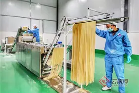 云南罗平钟山：小薏仁孕育大产业图片
